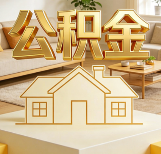 中卫资金如何“活”起来,服务如何“智”起来?